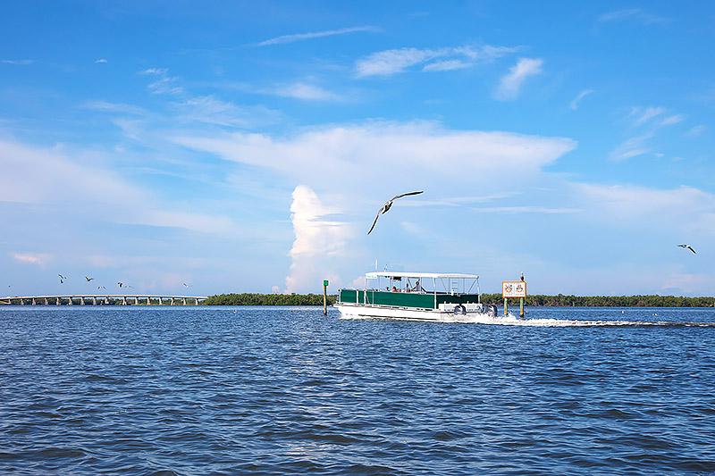 Discover Pelican Landing Beach Park: A Hidden Gem for Travelers